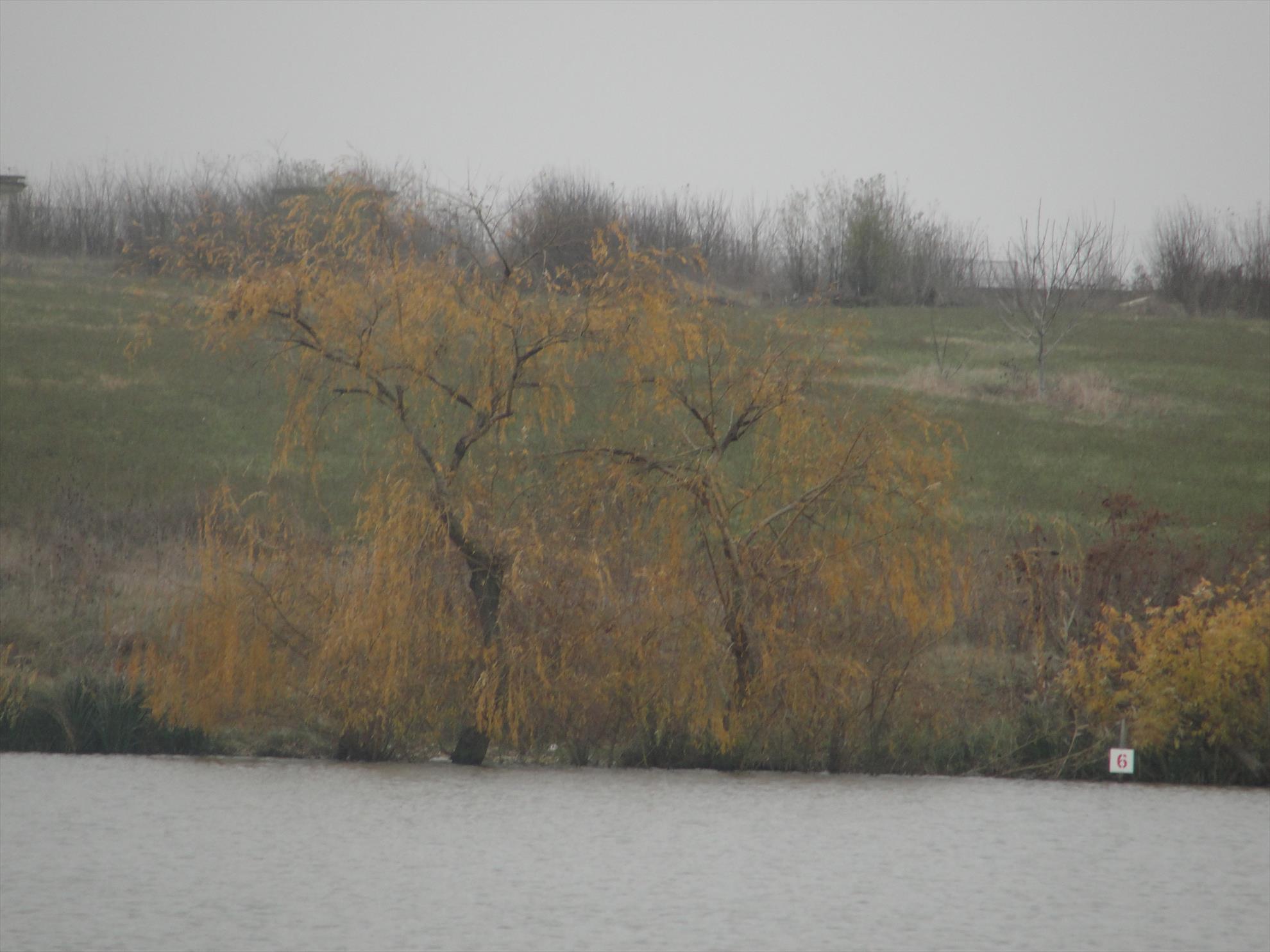 Peris (Frig si Vodka) - dsc00793.JPG